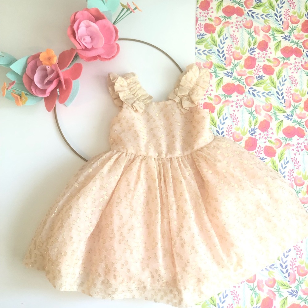 Baby Girls Janie and Jack Special Occasions Dress